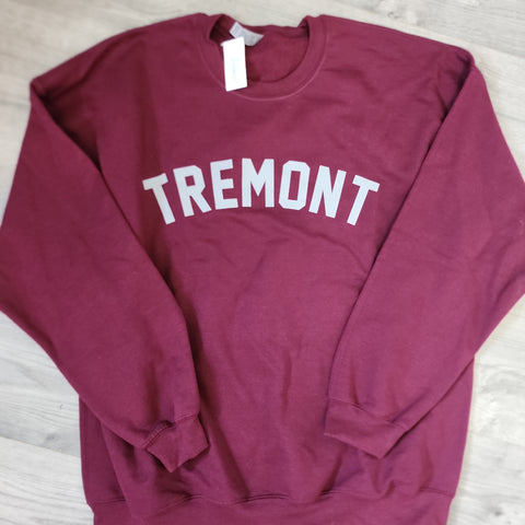 Tremont Arch Crew Sweatshirt - InStore